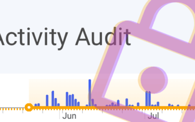 Improved security with our new Activity Audit Report
